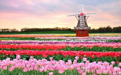 The Most Amazing Places in the World for Flowers