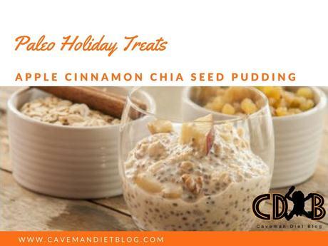paleo holiday treats chia seed pudding main image