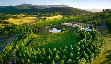 fahad-ahmed343-yarra_valley