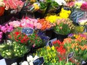 Shopping Paris Special…