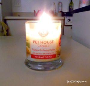 one-fur-all-pet-candle