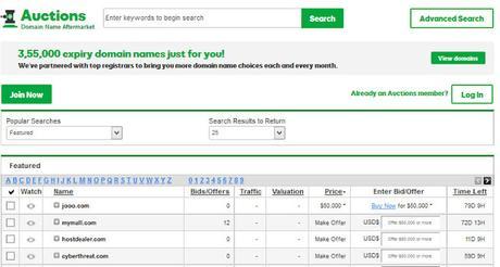 Complete Domain Name Guide : How to Choose a Domain (5600 Words)