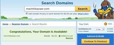 Complete Domain Name Guide : How to Choose a Domain (5600 Words)