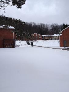 My Stranger’s Keeper