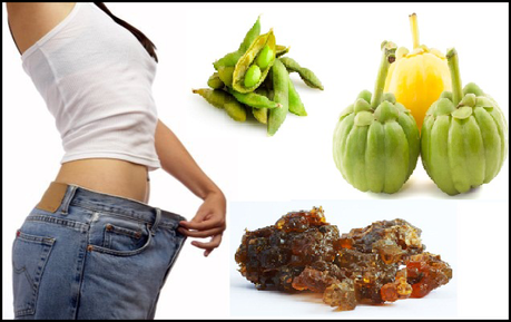 4 Natural Ayurvedic Medicine for Weight Loss – How to Lose Weight Naturally