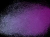 Ontology Cultural Evolution: “Spirit” “Geist” Some Measures