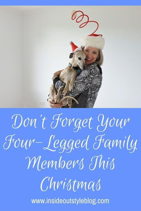 Don’t Forget Your Four-Legged Friends this Christmas