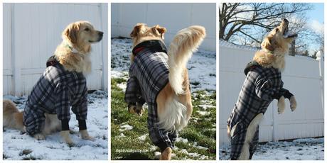 dog playing in the snow wearing a snojam fleece dog coat