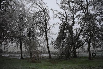 The December Ice Storm