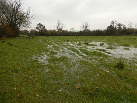 Storm Angus – Wrington, November 2016