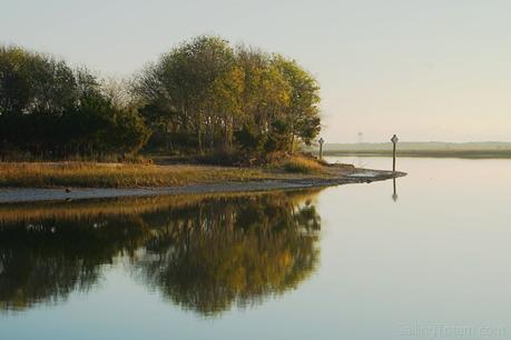 marshland