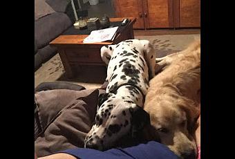 The Not Quite Empty Nest When You Have >> Empty Nesting In A Not So Empty Nest Paperblog The Not Quite Empty Nest When You Have >> Empty Nesting In A Not So Empty Nest Paperblog