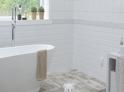 Remodeling Your Bathroom: Make Biggest Difference Best Price