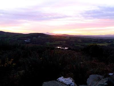From the viewpoint to the Mournes - growourown.blogspot.com ~ ecotherapy blog