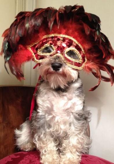 Ring in the New Year with an Elegant Masquerade Ball