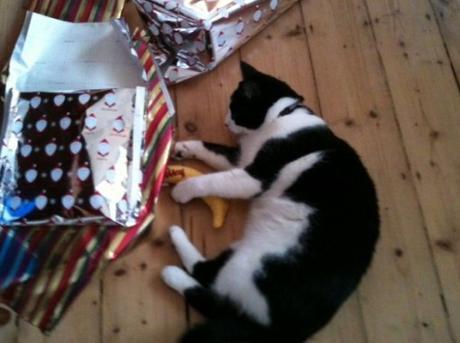 Cat Unwrapping Christmas Presents