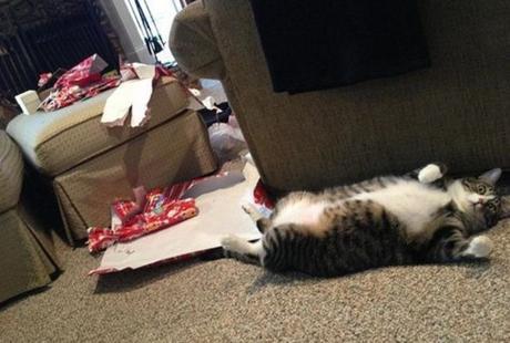 Cat Unwrapping Christmas Presents