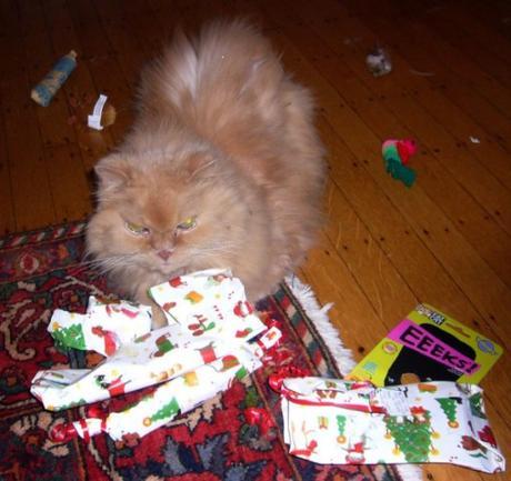 Cat Unwrapping Christmas Presents