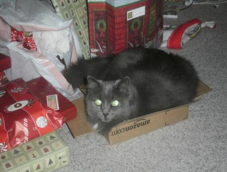 Cat Unwrapping Christmas Presents