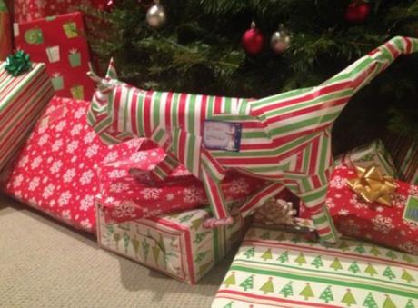 Guess the Gift Wrapped Gift!