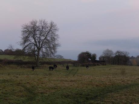 Somerset Coal Canal (Part 1)