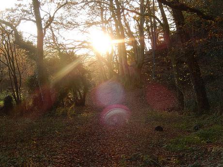 Somerset Coal Canal (Part 1)