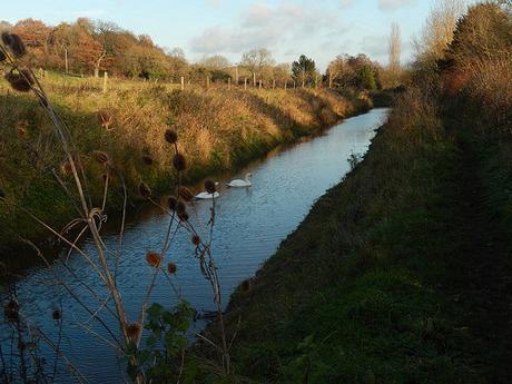 Somerset Coal Canal (Part 1)