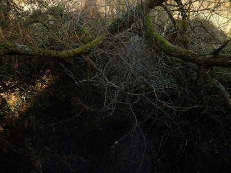 Somerset Coal Canal (Part 1)