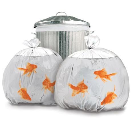 Goldfish Novelty Bin Bags