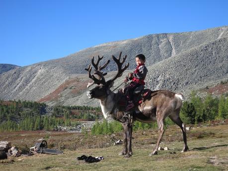 tsaatan-nomads-mongolia-13