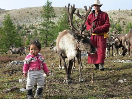 Walking among the reindeer