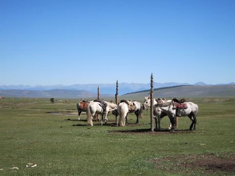 Our horses in Tsagaan Nuur