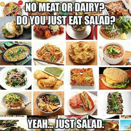 Vegan Memes and Infographics