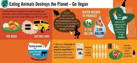 Vegan Memes and Infographics
