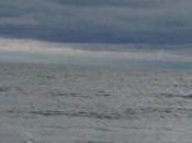 Looking Stock Dividends Different