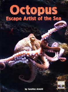 OCTOPUS, ESCAPE ARTIST OF THE SEA