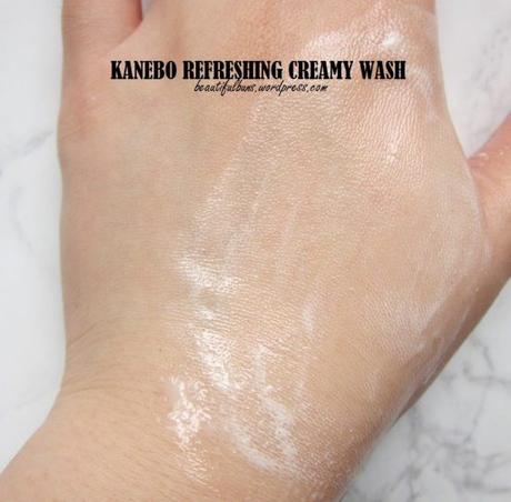 Review: Kanebo Refreshing Creamy Wash