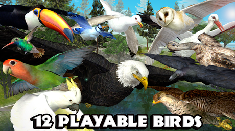 Ultimate Bird Simulator v1.2 APK