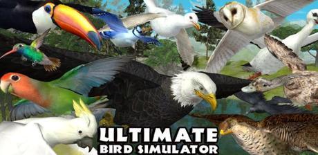 Ultimate Bird Simulator v1.2 APK