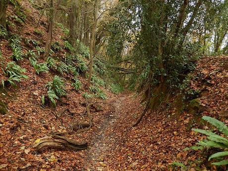 Ozelworth Bottom