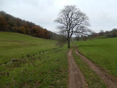 Ozelworth Bottom