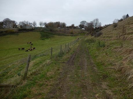 Ozelworth Bottom