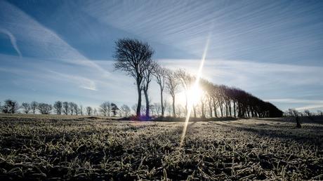 The Many Moods of Christmas in Nordjylland