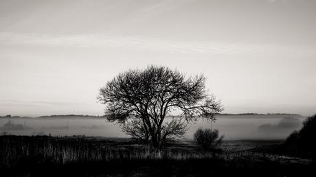 The Many Moods of Christmas in Nordjylland