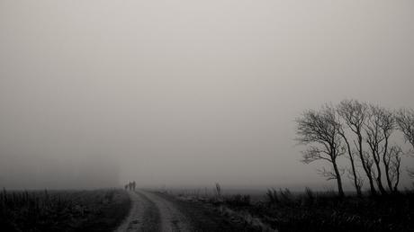 The Many Moods of Christmas in Nordjylland