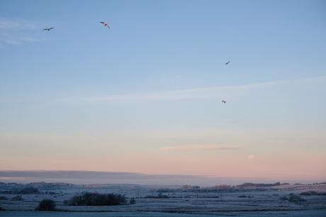 The Many Moods of Christmas in Nordjylland