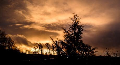 The Many Moods of Christmas in Nordjylland