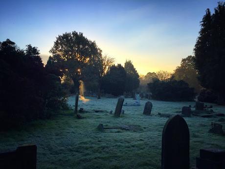 The Daily Constitutional Editor's Diary 2016 November: #DenmarkStreet, #AlleyCatBar & @SpursOfficial (Again!)