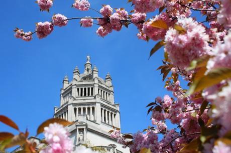 The Daily Constitutional Editor's Diary 2016 May: West Ham & the Rolling Stones (Again!)