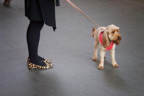 The Daily Constitutional Editor's Diary 2016 March: Ghosts, Comic Books & @toptrumps